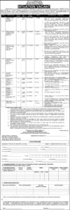 Ministry of Human Rights jobs